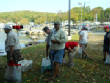 webassets/20131006_18.JPG